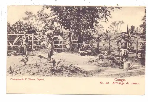 LANDWIRTSCHAFT - CONGO, Arrosage du Jarnin, kl. Knick