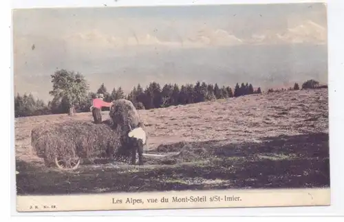 LANDWIRTSCHAFT - Heuernte, St. Imier / Schweiz, 1901