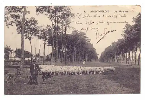 LANDWIRTSCHAFT - Schafherde, 1909, Montgeron