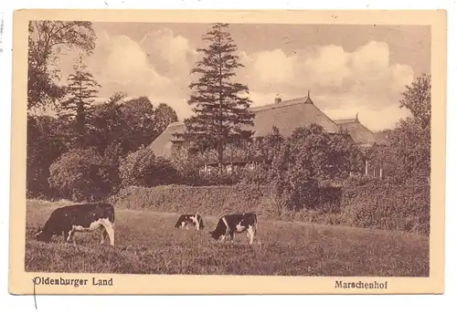 LANDWIRTSCHAFT - Bauernhof / Marschenhof, Oldenburger Land