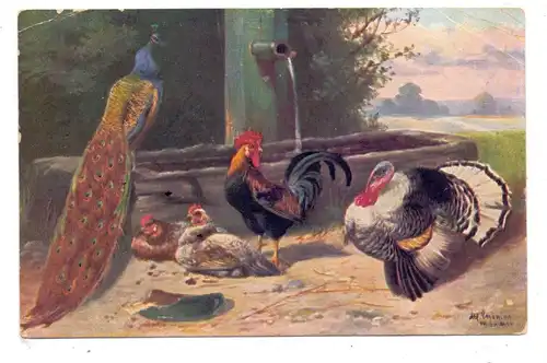 LANDWIRTSCHAFT - GEFLÜGEL / Poultry / Volaille, Hühner, Fasan, Truthahn, Künstler-Karte, 1911, kl. Druckstelle
