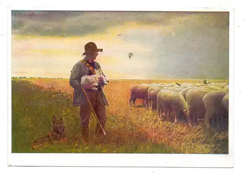 LANDWIRTSCHAFT - Schafhirte mit Herde und Schäferhund
