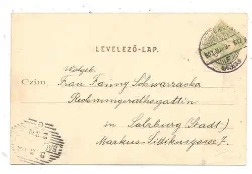 H 2500 ESZTERGOM, Gruss aus... 1903