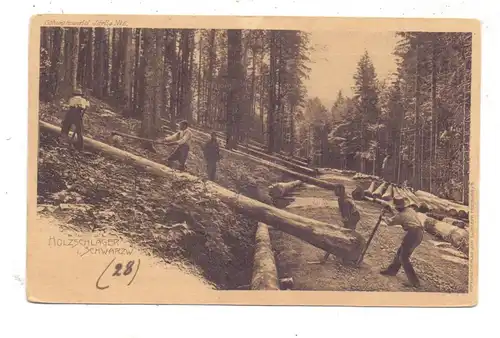 LANDWIRTSCHAFT - Holzschläger im Schwarzwald, rücks. Kleberest