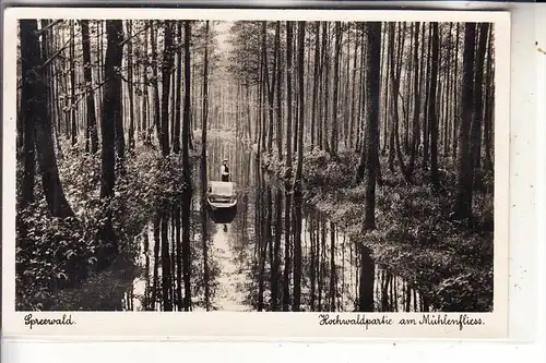 0-7543 LÜBBENAU, Wotschofska, Hochwaldpartie am Mühlenfliess, 1937
