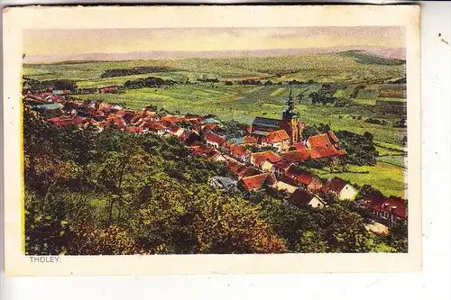 6695 THOLEY, Panorama