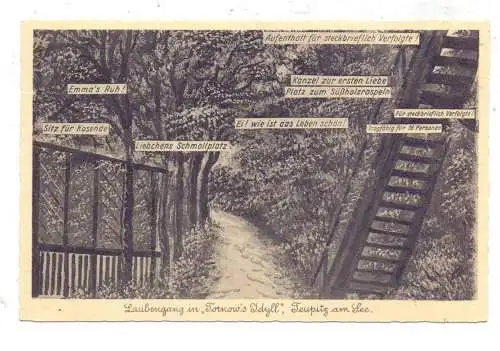 0-1612 TEUPITZ, Tornow's Idyll, Landpoststempel, 1935