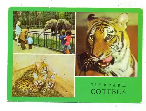 0-7500 COTTBUS, Zoo, Tierpark