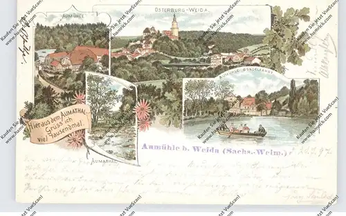 0-6518 WEIDA, Aumühle, Lithographie 1897