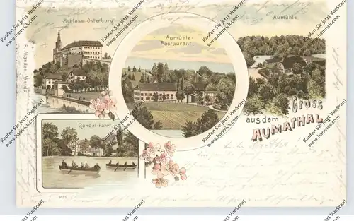 0-6518 WEIDA, Aumathal, Schloss Osterburg, Restaurant Aumühle, Lithographie