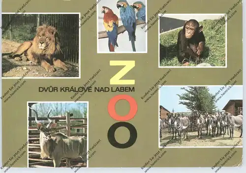 ZOO - DVUR KRALOVE NAD LABEM / Königshof an der Elbe