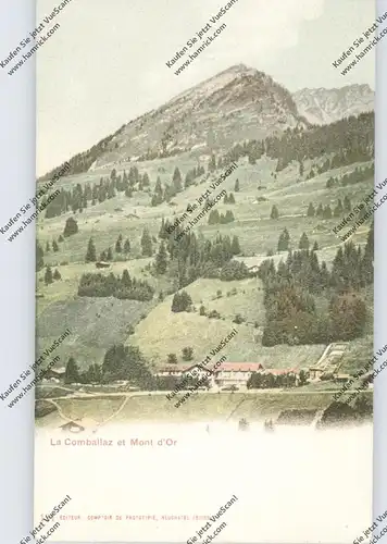 CH 1862 ORMONT-DESSOUS VD, La Comballaz et Mont d'Or, ca. 1905