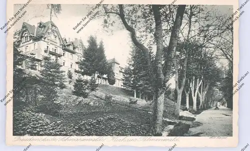 7290 FREUDENSTADT, Kurhaus Palmenwald, 1925