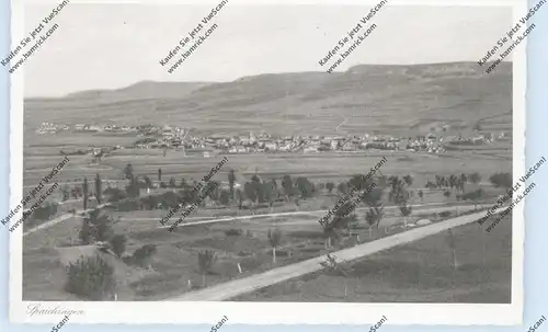 7208 SPAICHINGEN, Gesamtansicht