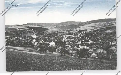 6798 KUSEL, Gesamtansicht 1919