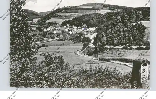 5789 HALLENBERG - LIESEN (Meschede), Ortsansicht, Landpoststempel, 1960