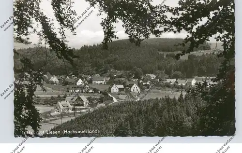 5789 HALLENBERG - LIESEN (Meschede), Ortsansicht, Landpoststempel, 1961