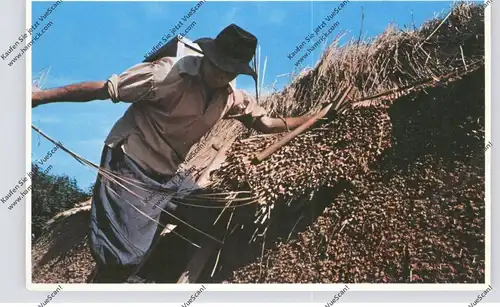 USA - MASSACHUSETTS - PLIMOTH, Thatching a roof at Plimoth Plantation
