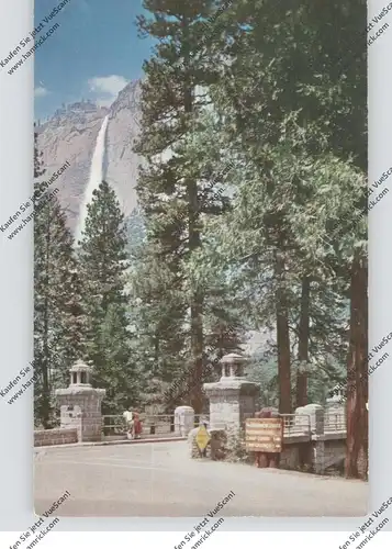 USA - CALIFORNIA - YOSEMITE, National Park, Yosemite Falls