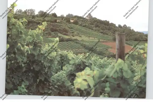 6507 INGELHEIM, Blick zum Bismarckturm