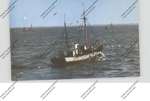 FISCHEREI / Fishing, Cape Cod