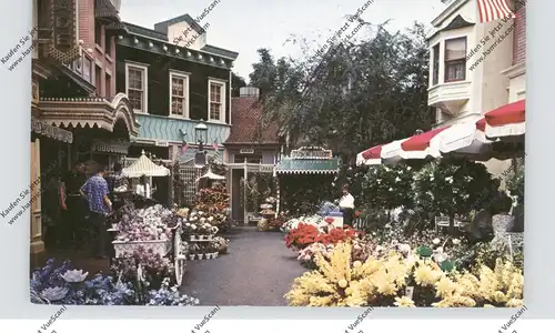 DISNEY - DISNEYLAND, Main Street USA, Flower Mart
