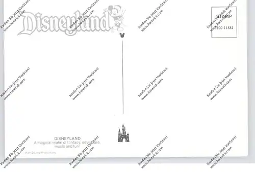 DISNEY - DISNEYLAND, Magical realm, # 0100-11881