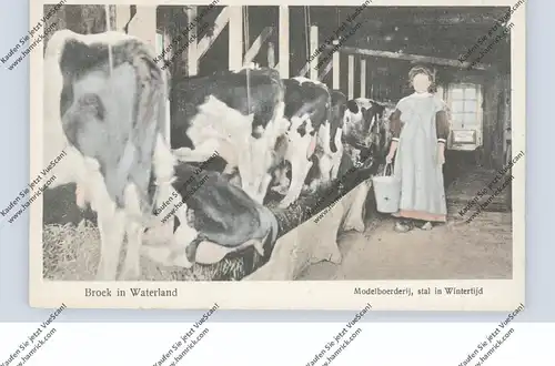 LANDWIRTSCHAFT - VIEHZUCHT, Stall zur Winterzeit, Broek / NL