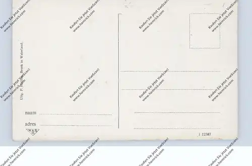 LANDWIRTSCHAFT - VIEHZUCHT, Stall zur Winterzeit, Broek / NL