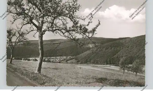 5439 BAD MARIENBERG - KORB, Gesamtansicht, Bahnpost, 1958