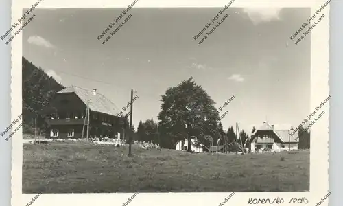 SLOWENIEN - KORENSKO SEDLO / Wurzenpass