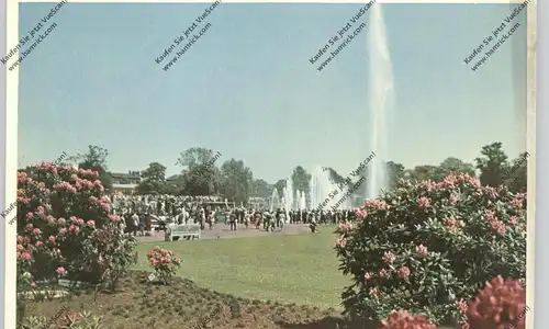 2000 HAMBURG, Planten en Blomen, Rhododendren, Wasserspiele