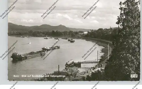 5300 BONN, Rheinufer, Blick auf das Bundeshaus und Siebengebirge, 1959