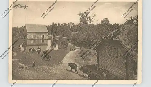 LATVIJA / LETTLAND - Kurland / Kurzeme, Bauernhof, 1917, Stempel Eydtkuhnen