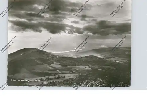 5330 KÖNIGSWINTER - ITTENBACH, Blick vom Oelberg in das Rheintal, 1958
