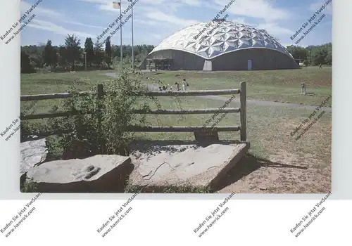 USA - CONNECTICUT - ROCKY HILL, Dinosaur State Park