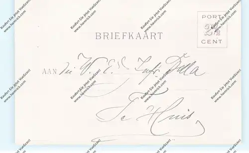 AMSTERDAM, Rijks-Museum, 1895