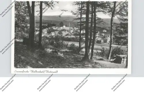 6296 MENGERSKIRCHEN - WALDERNBACH, Gesamtansicht, 1954
