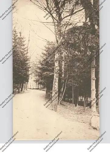 5100 AACHEN, Partie an der Waldschenke