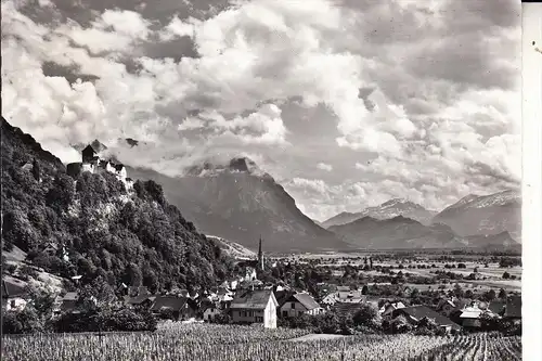 FL 9490 VADUZ, Panorama