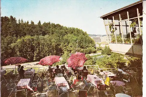 3490 BAD DRIBURG, Cafe Falkenhöhe, 1965