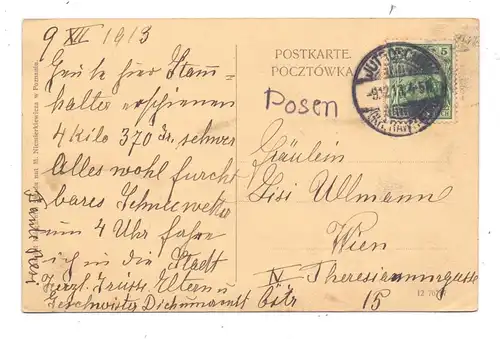 POSEN - POSEN / POZNAN, Wyspa Tumska, 1913