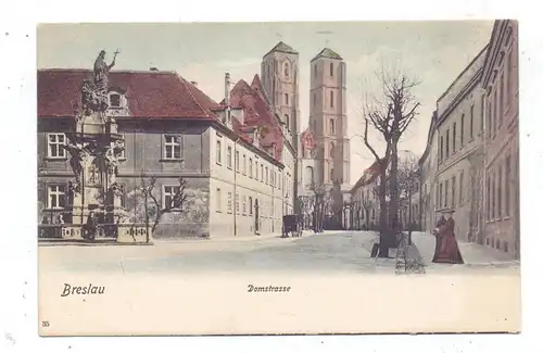 NIEDER - SCHLESIEN - BRESLAU  / WROCLAW, Domstrasse, 1906