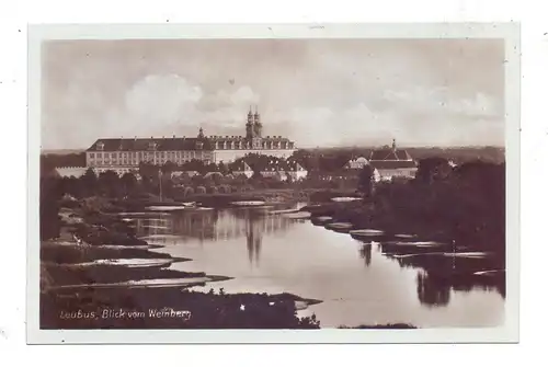 NIEDERSCHLESIEN - LEUBUS / LUBIAZ, Kloster Leubus, Blick vom Weinberg