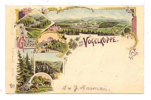 NIEDER - SCHLESIEN - WALDENBURG / WALBRZYCH, Lithographie 1897, Gruss von der Vogelkoppe