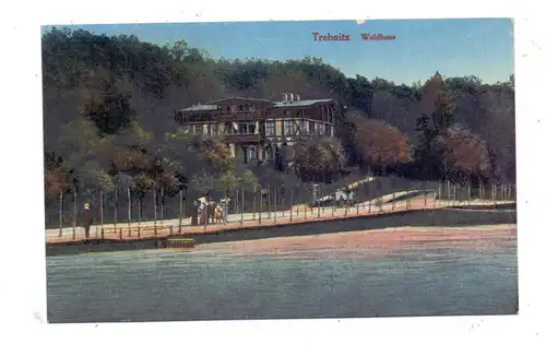 NIEDER-SCHLESIEN - TREBNITZ / TRZEBNICA, Waldhaus, 1919