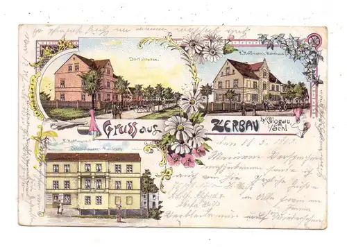 NIEDER-SCHLESIEN - ZERBAU / SERBY, Lithographie 1902, Colonialwaren-Handlung, E. Hoffmann's Wohnhaus, Dorfstrasse