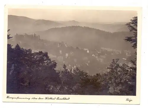 BÖHMEN & MÄHREN - KARLSBAD / KARLOVY VARY, Morgenstimmung