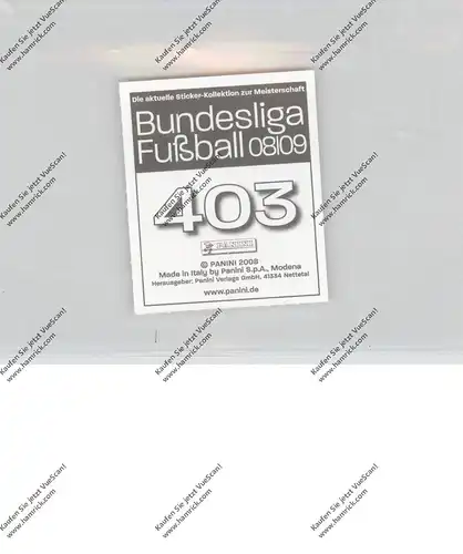 FUSSBALL - BAYERN MÜNCHEN - BASTIAN SCHWEINSTEIGER, Bundesliga 2008 / 2009