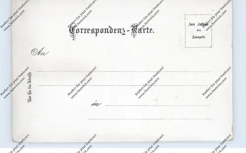BÖHMEN & MÄHREN - MARIASCHEIN / BOHOSUDOV, Lithographie 1899, Wallfahrtskirche, Gesamtansicht